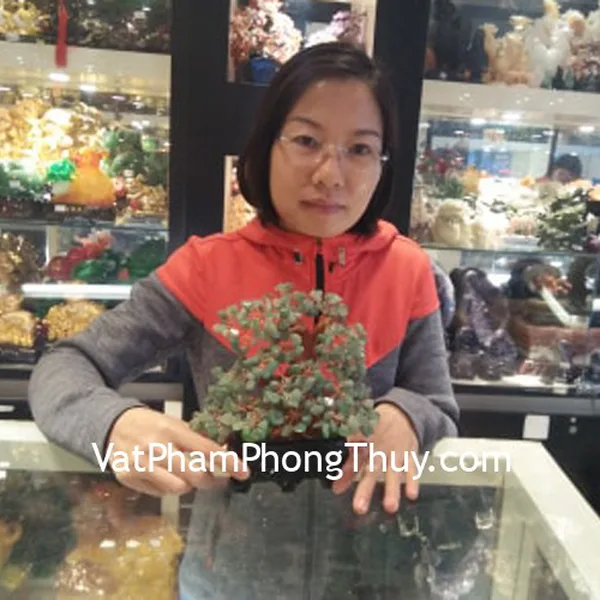 Chị Vân - khách hàng mua cây tài lộc đá ngọc đông linh KC044