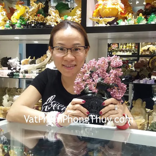 Chị Thủy - khách hàng mua cây tài lộc ngọc bảo KC122