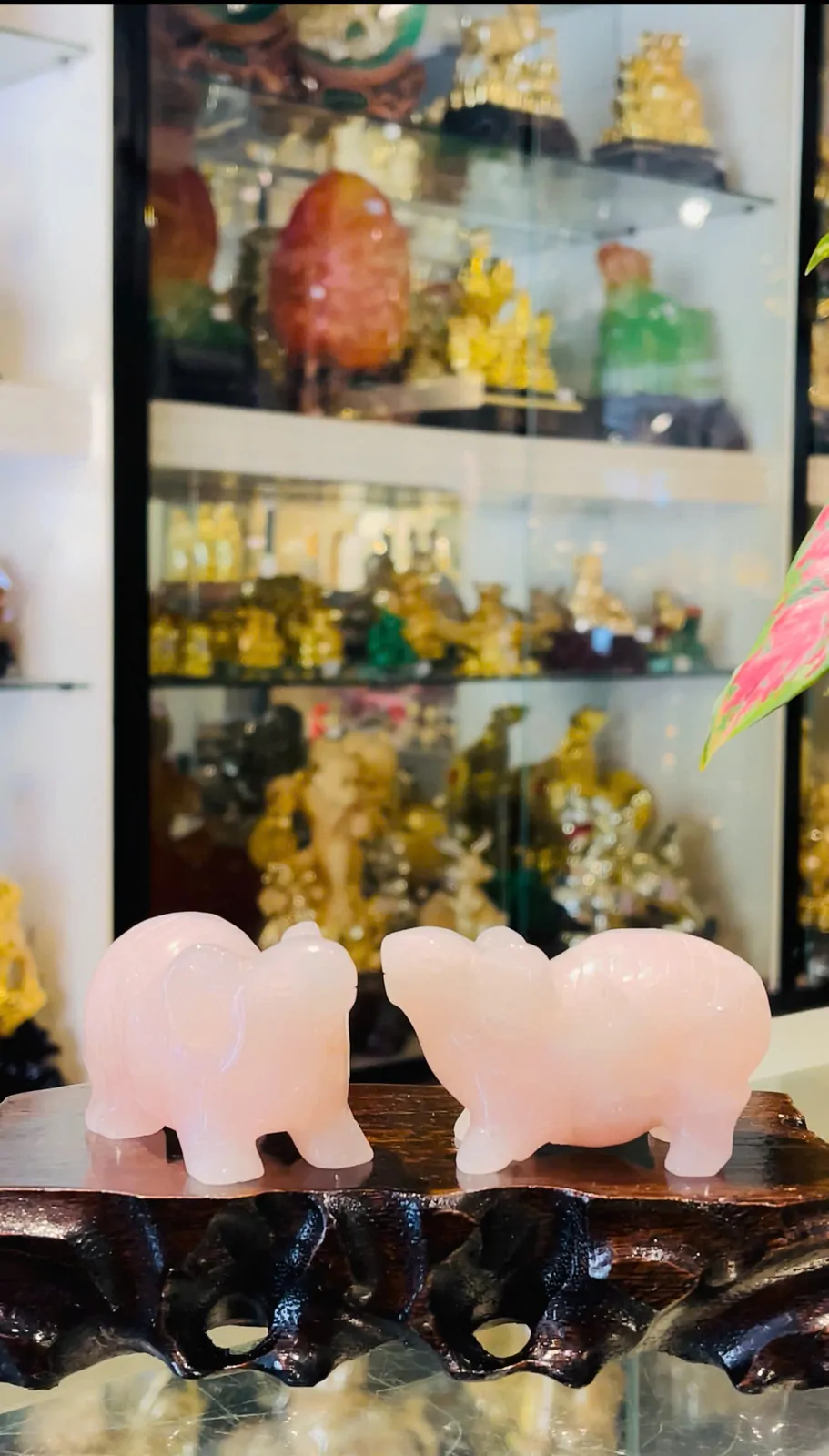 Dê thạch anh hồng- 3tấc H069