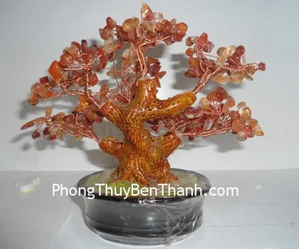 Cây đá mã não đỏ nhỏ - chậu dẹp K161_4