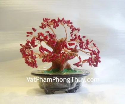 Cây tài lộc đá san hô đỏ, chậu nhỏ CA223