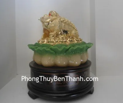 Cóc ôm cải B036