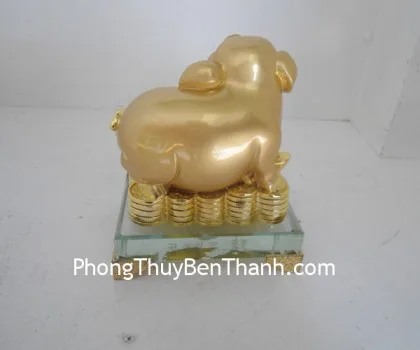 Heo phú túc trường lạc vàng,đế thủy tinh Y314