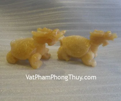 Rùa đầu rồng Hoàng long trơn GM031