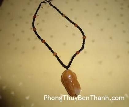 Ve sầu G228