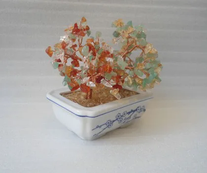 Cây tài lộc nhiều màu mini chậu sứ KC008