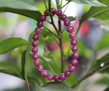 Chuỗi Ruby xanh đỏ hạt vát cạnh Nam Mỹ (64.6g - 15bi)) S6246-S3-4418
