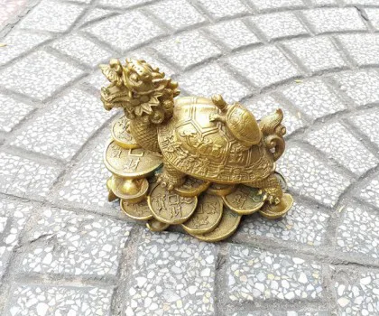 Rùa đồng cõng con lớn D232