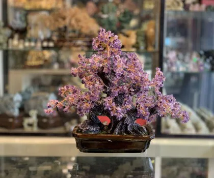 Cây thạch anh tím lớn hạt nhỏ dáng thịnh vượng trên chậu có núi đá KC110