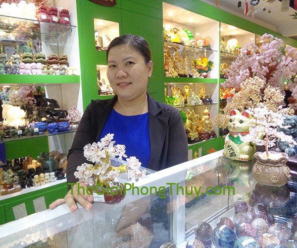 Chị Huyền - Khách hàng mua Cây tài lộc gốc đẹp thạch anh trắng nhỏ FKC093