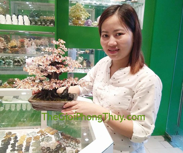 Chị Hiền- Khách hàng mua Cây tài lộc kiểu mới pháo hoa nhiều màu FKC069