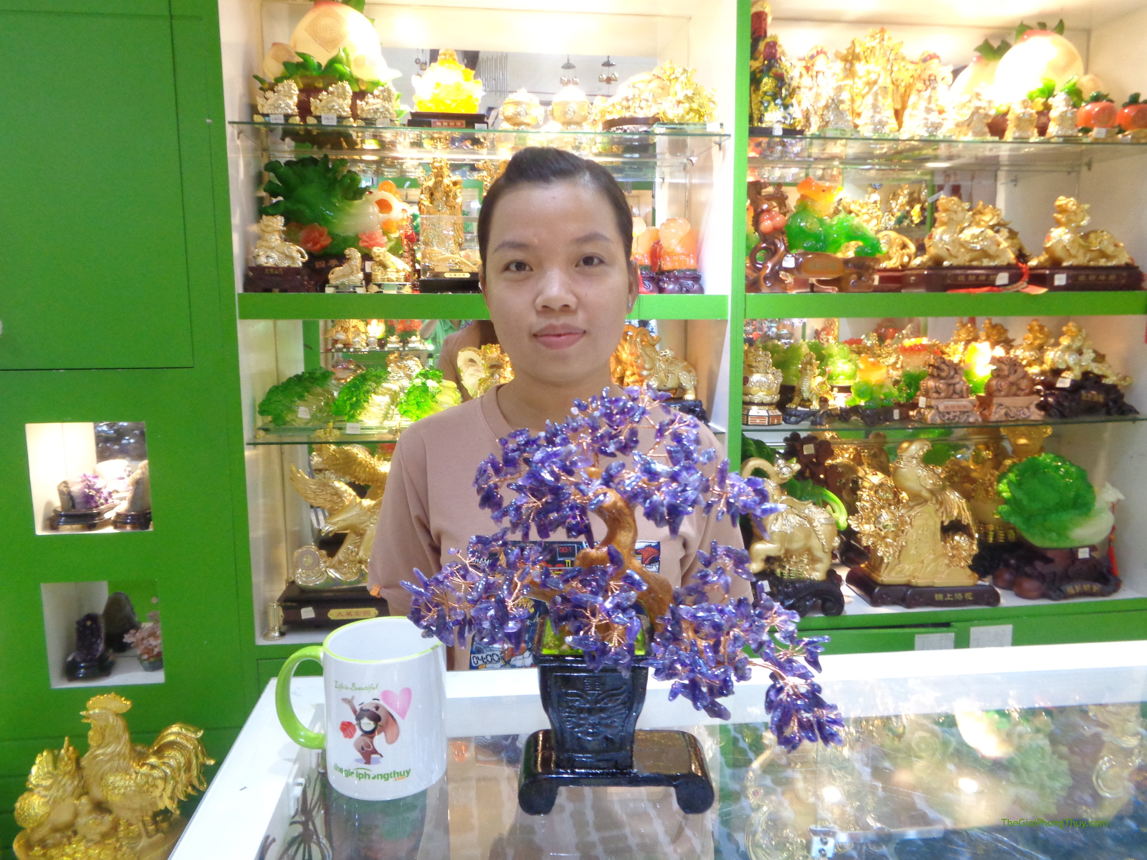 Chị Ngọc - Khách Hàng mua Cây tài lộc thạch anh tím chậu cao chữ nhật FKC022