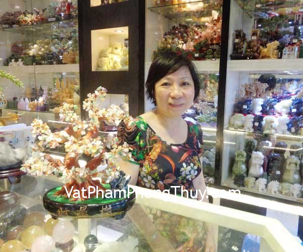 Cô Phụng - khách hàng mua Cây tài lộc nhiều màu KC003