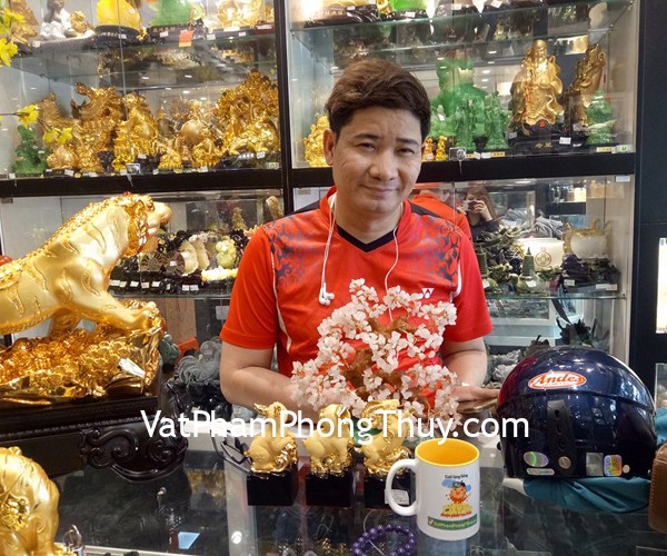 Anh Minh - khách hàng mua tượng 12 con giáp sa kim Hợi, Mẹo, Mùi C211A-4, C211A-8, C211A-12, cây tài lộc thạch anh hồng KC041 và chuỗi thạch anh tím S6361-S3-2860
