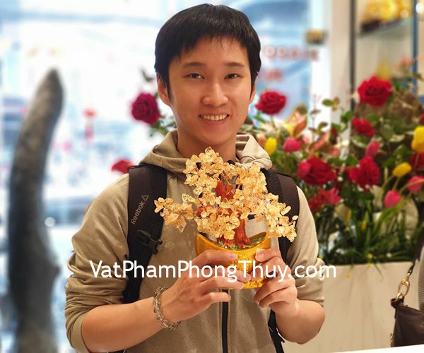 Anh Hiếu - khách hàng mua cây tài lộc ngũ sắc KC117 và chuỗi thạch anh tóc đen S6749-4627